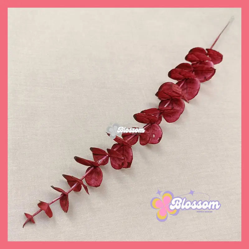 Artificial Eucalyptus Stem Daun Paslu Hiasan Pelaminan Dekorasi Pernikahan Wedding Decoration 4