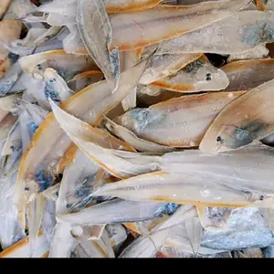 Ikan asin lendra/asin lidah