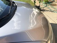 Gambar ceramic spray coating FUGU ready to use isi 500ml dari clartedetailingtools Kota Administrasi Jakarta Barat 4 Tokopedia