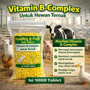 BECOMP Vitamin Hewan Original Besar & Kecil Unggas Isi 1000 Butir Mencegah Defisiensi Vitamin B Meningkatkan Daya Tahan Tubuh