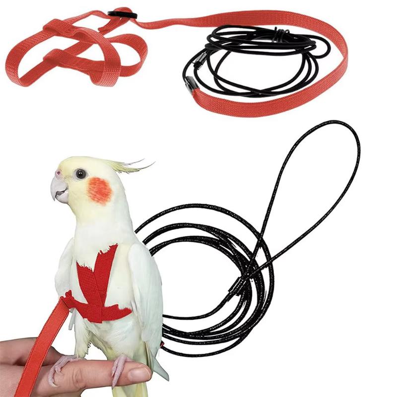 Training Flying Traction Rope Anti-Bite Training Rope Bird Leash Parrot Flying…