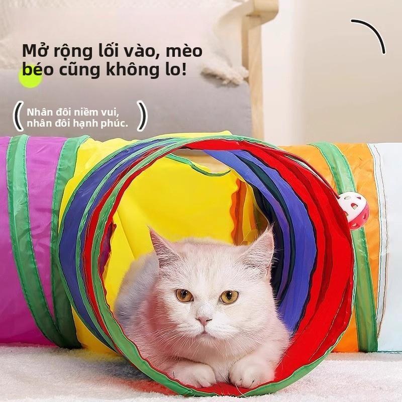 Sản phẩm thú cưng mới: Đường hầm thẳng cho mèo màu cầu vồng, đồ chơi mèo tự…