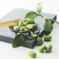 Gambar Royce - Matcha Almond Chocolate dari Royce Chocolate Indonesia Kota Administrasi Jakarta Pusat 5 Tokopedia