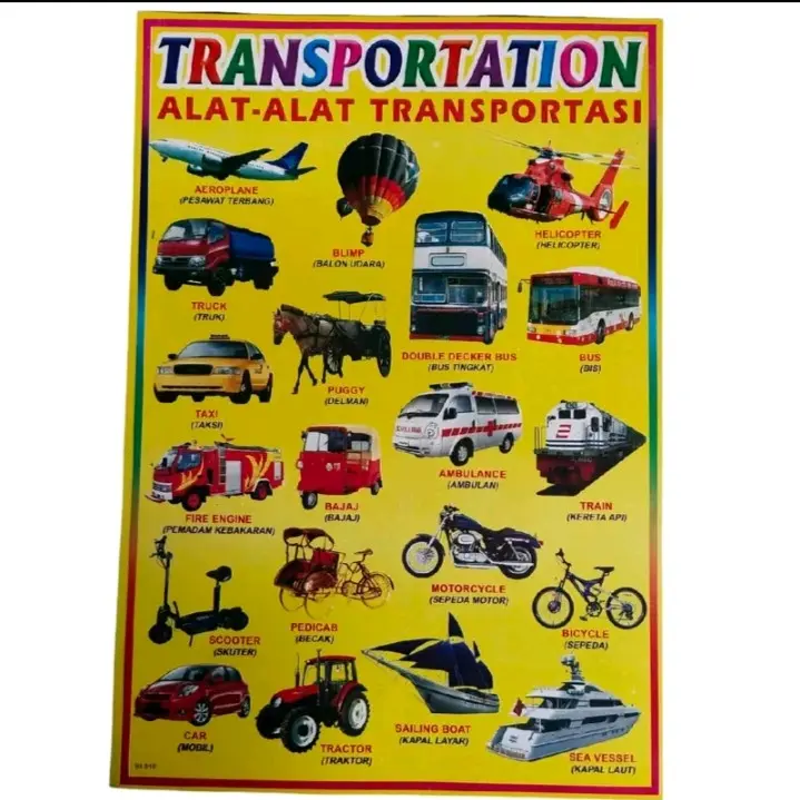 Poster Gambar Hewan | poster Edukasi Anak | Herbivora | Karnivora | Omnivora | Dll.Stationery 2