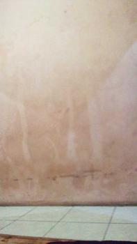 Product Review of BATU KORAL PUTIH 10 KG - BATU TAMAN / BATU HIAS PUTIH from R**o P**o 0