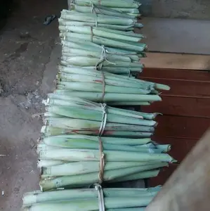 terubuk terubuk sayuran segar tebu sayur.