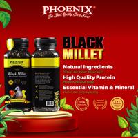 Gambar Grosir Phoenix Black Millet 1 Pack (6 Pcs) dari Phoenix Petfood Indonesia Kab. Bogor 5 Tokopedia