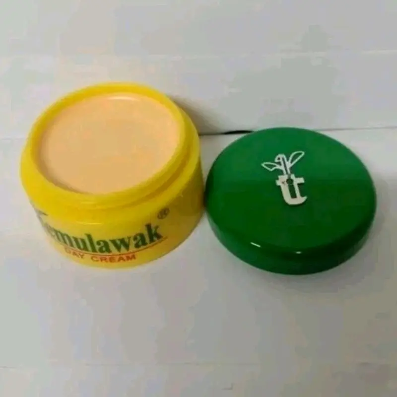 Cream Temulawak Siang Original Pelembab Wajah Pencerah SATUAN 3