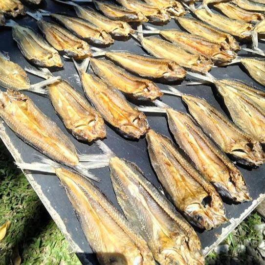 Furikake Ikan 100g Terbang & Bonito Homemade | Topping Nasi Natural | Tanpa MSG | Ikushima Store 7