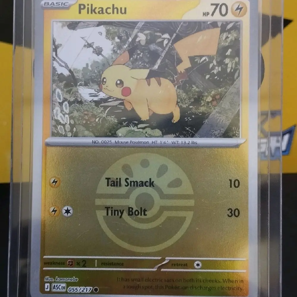 Kartu Pokemon Jumping Langit 15kg