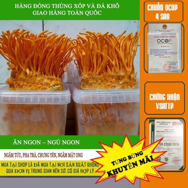 4 Hộp nấm Đông trùng hạ thảo Đóng thùng xốp và dá khô bảo hành 1 Đổi 1