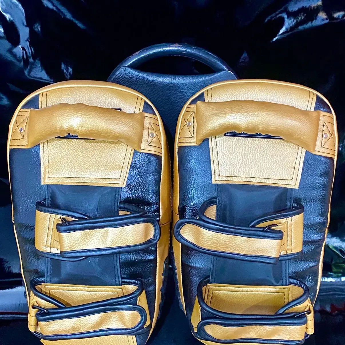 Kicking pad tangan / pad tangan