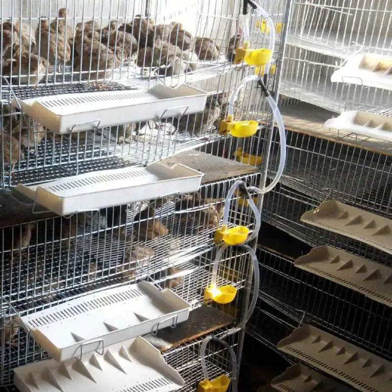 12Pcs Cage Accessories Automatic Quail Drinking Bowl Plastic Suspension Bird Waterer Feeder Practical Convenient Drinking Cup Bowl Duck 4