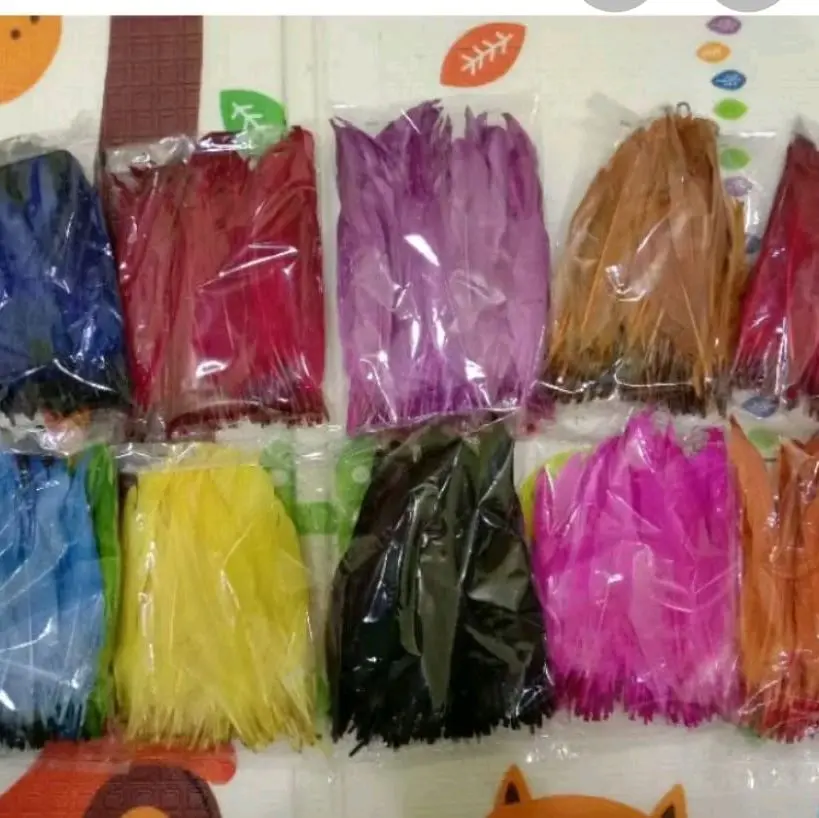 Bulu Ayam Asli Warna Warni Isi 100 Panjang 15-17 cm