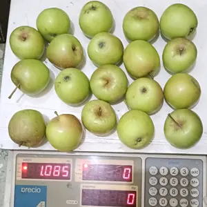 APEL MALANG JENIS MANALAGI SEKILO ISI  18-20 BUAH RASA MANIS DAN SEGAR