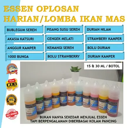 UMPAN ESSEN OPLOSAN MANCING HARIAN/LOMBA IKAN MAS PALING GACOR 0