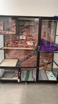 Product Review of Kandang Kucing Alumunium Playground rumah from L**8 0