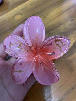 Product Review of Jepit Rambut Bali Jedai - Clips for Fashionable Hair from K**h 0