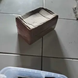 Ekstrak Ketapang Liquid Fishkinian