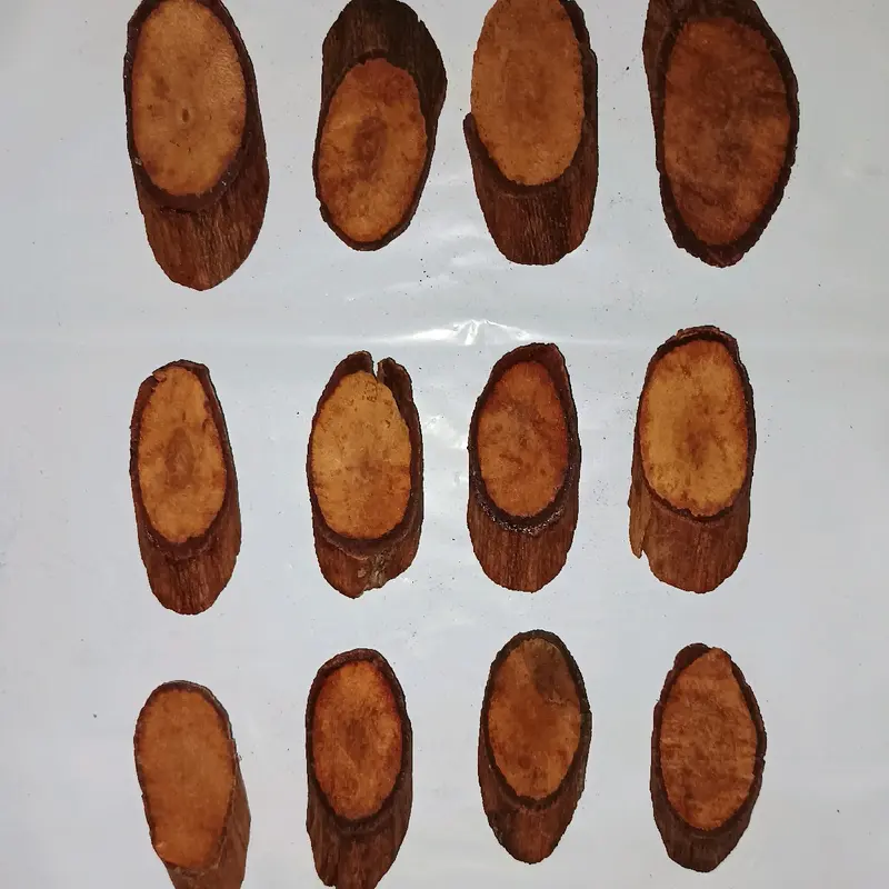 Akar Bajakah Tampala Merah / Kayu Bajakah Tampala Merah (Asli Dari Kalimantan) Kanker/Tumor/Diabestes/Kista/Darah Tinggi/Ambeyen/Benjolan/Gondok/Kelenjar 2