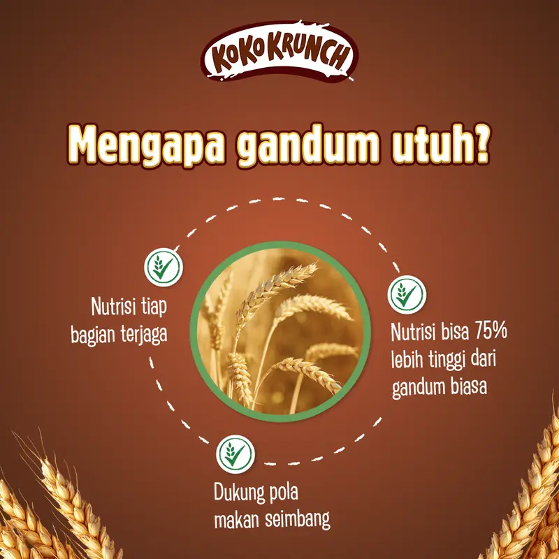 Nestle KOKO KRUNCH Cereal Combo Pack 30g 2