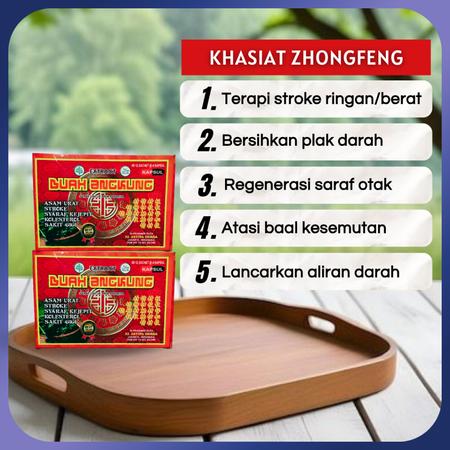 Zhongfeng Angkung Kapsul Herbal untuk Mengatasi Stroke Kronis dan Kolesterol Tinggi 2