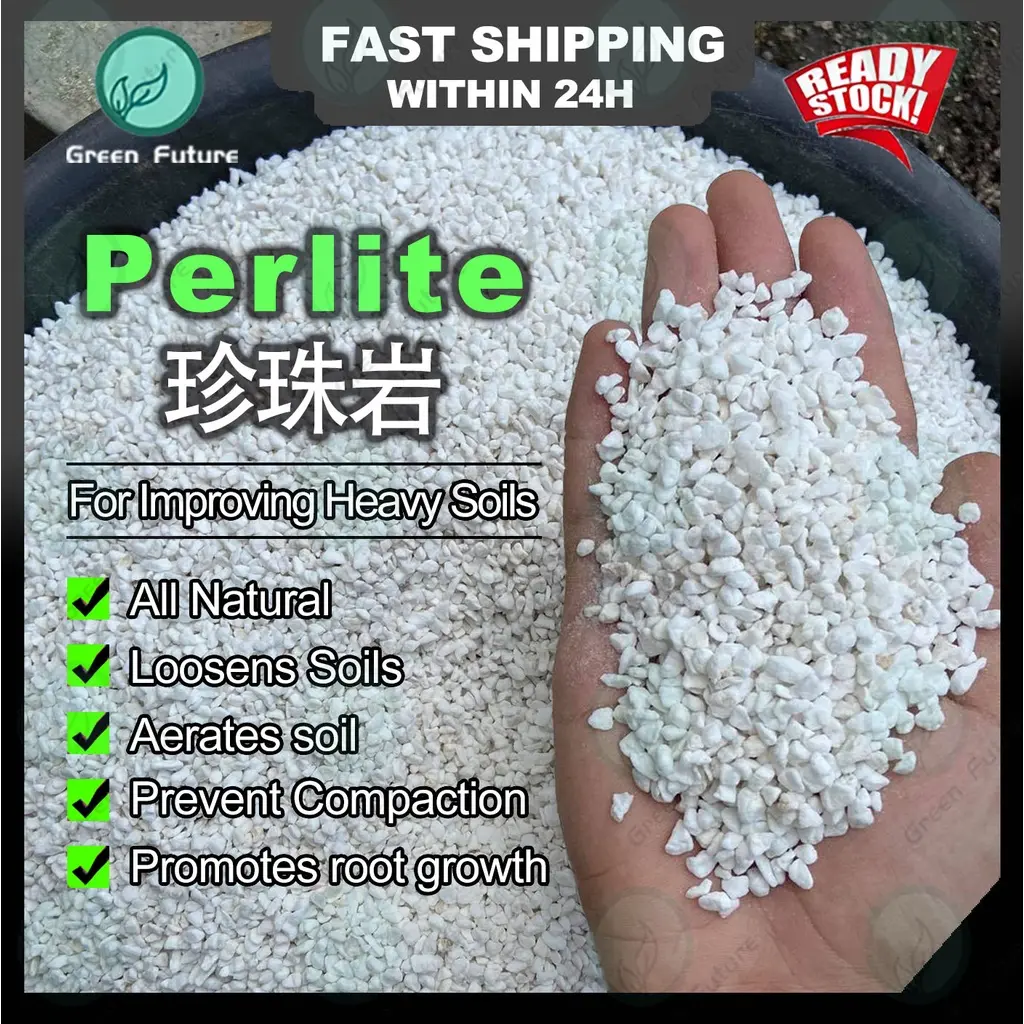 Perlite 5L 3-5mm For Cactus & Succulents soil (Natural Expanded Volcanic Perlite) Planting Media Granular soil Garden Home