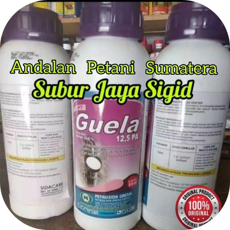 Guela 500 ml perangsang getah karet