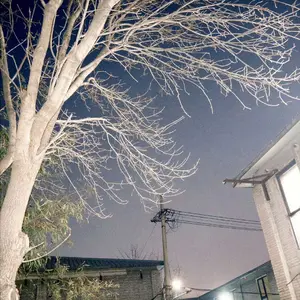 JAKMART Kuas Masker Untuk Wajah Dan Peeling Kuas Serba Guna Alat Kosmetik Make up Multifungsi