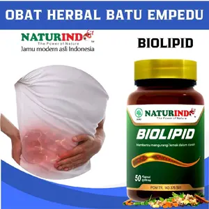 Herbal Penghancur Batu Empedu Nyeri Perut Kanan Atas Biolipid Naturindo