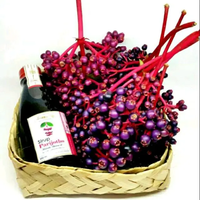 Paket Sirup Parijoto 350 ML DanBuah dht parijoto untuk promil sesame syrup