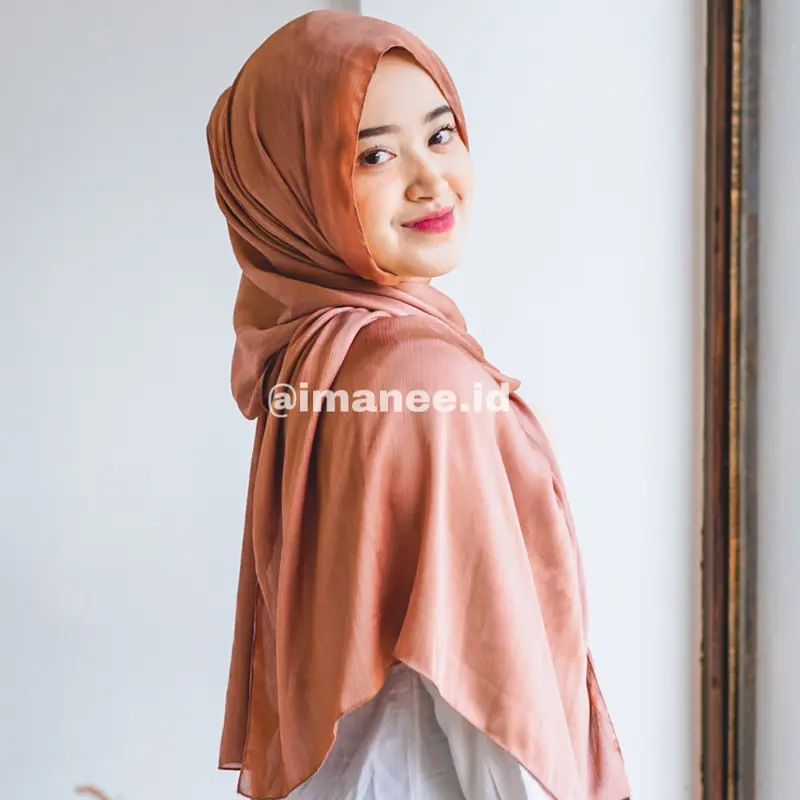 Alara Pashmina Silk Premium by Imanee.id 0