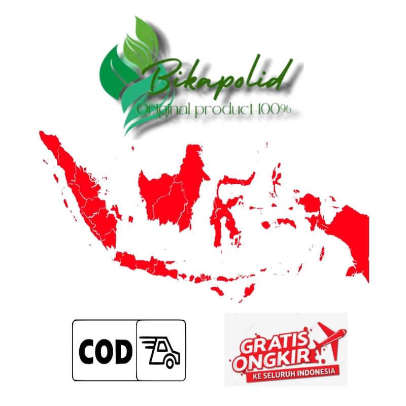 Jamu kapsul akar pohon manggis untuk pegal linu 2