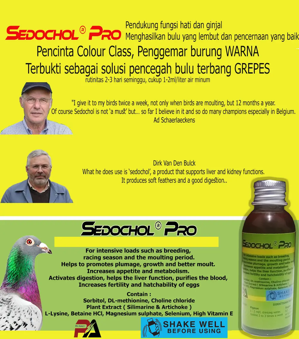Sedochol Pro suplemen merpati dan raptor