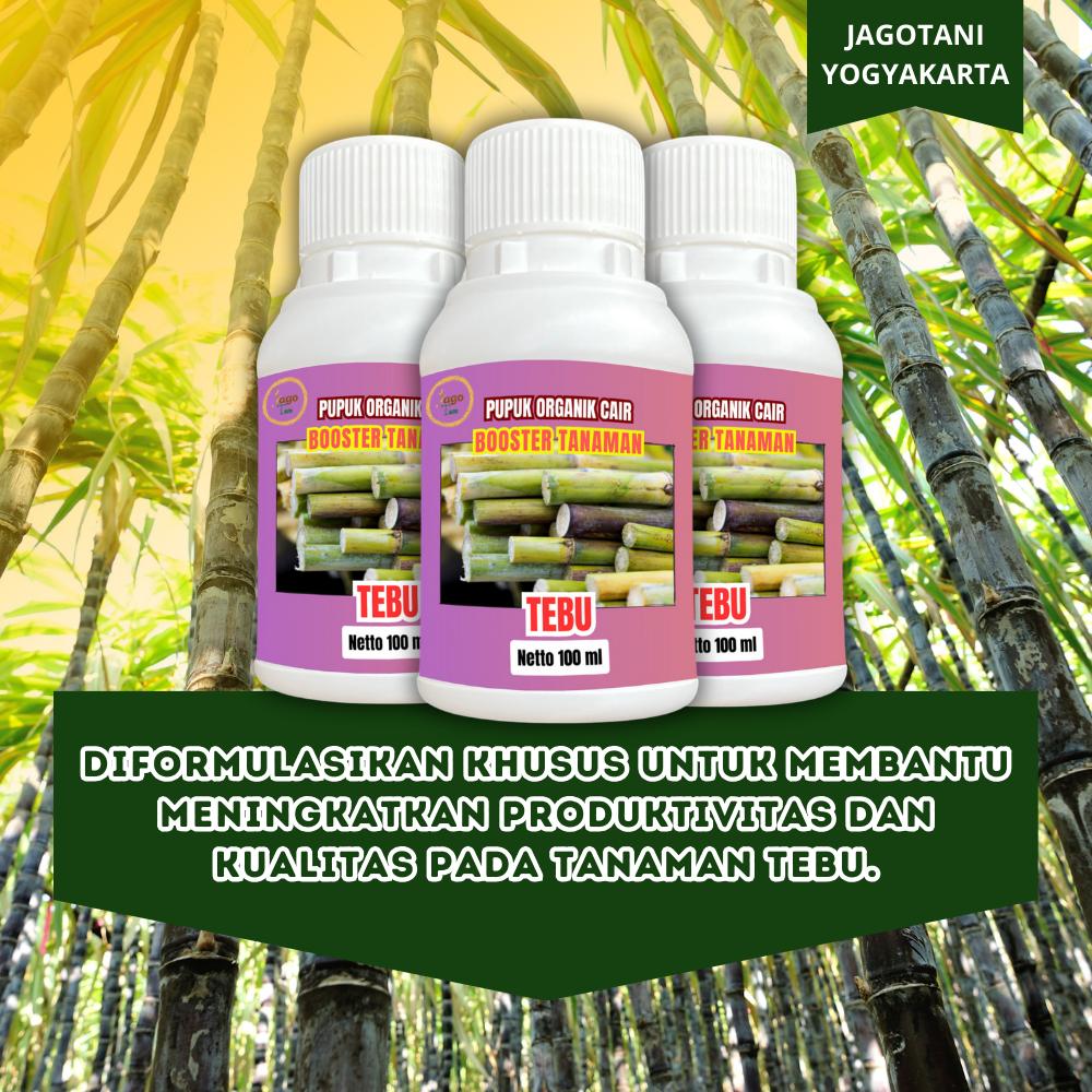 Pupuk Organik Cair Tebu 100 Ml Booster Pemicu Tumbuh lebih Cepat Dan Besar By Jagotani Yogyakarta Pupuk Organik Cair Tebu 100 Ml Booster Pemicu Tumbuh lebih Cepat Dan Besar By Jagotani Yogyakarta