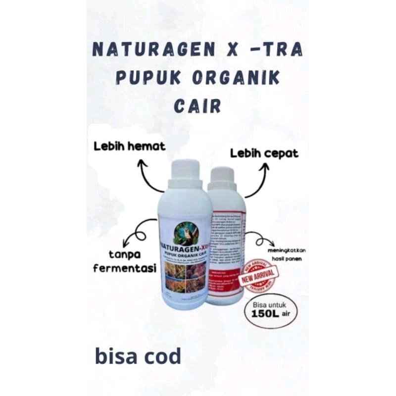 [beli 3 gratis 1] NATURAGEN-XTRA PUPUK ORGANIK CAIR meningkatkan hasil panen kebun, padi, jagung, cabe, sawit Dan Jenis Tanaman Lainya Alami 4