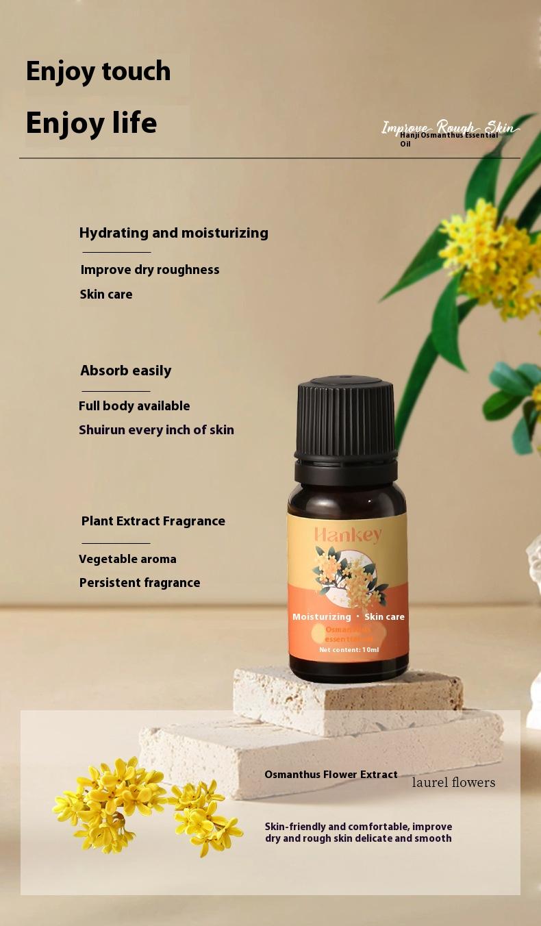Product Introduction of Osmanthus compound plant essential oil beauty salon gua sha massage skin care body oil Comfort Cosmetic 3