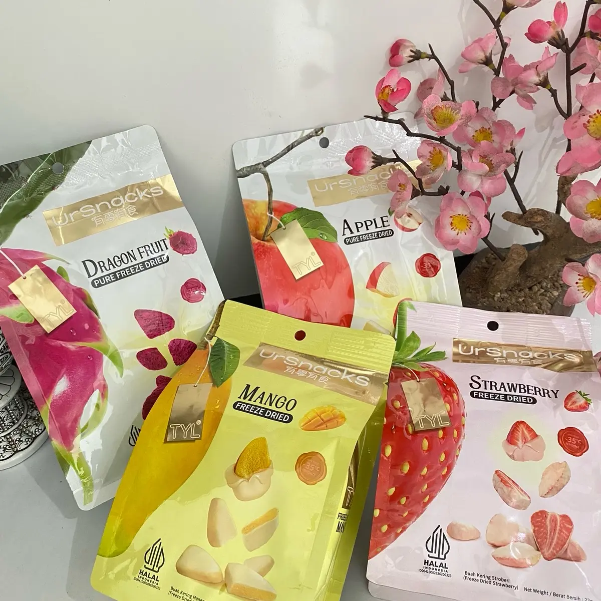 Ursnack - Freeze Dry Fruit Varian Apple Cemilan Crispy Makanan apel Food