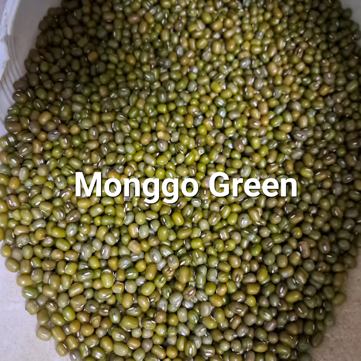 Monggo Lettering Monggo red available in 1kg and 1/2kg, repacked - TikTok Shop Philippines