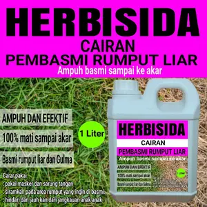 Herbisida cairan pembasmi rumput sampai ke akar isi 250gram siap pakai