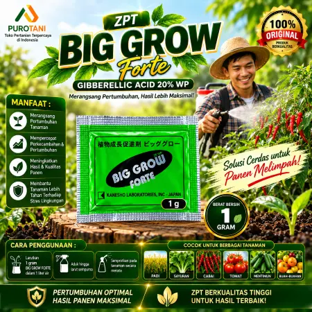 ZPT GA3 Jepang Big Grow Forte Gibberellic Acid 20 WP