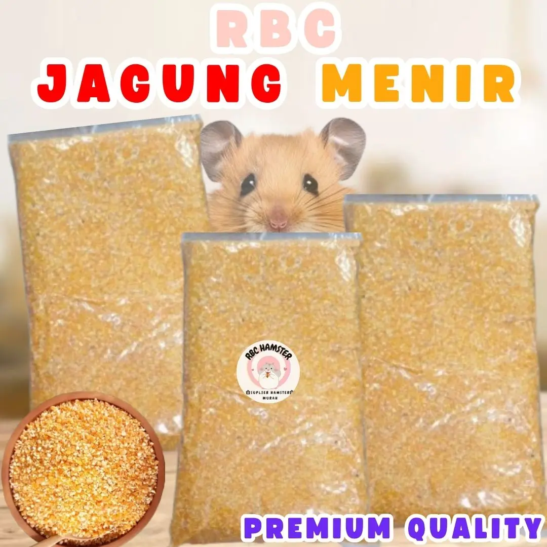 JAGUNG MENIR PREMIUM MAKANAN POKOK HAMSTER/BURUNG HIGENIS &BERSIH 100gr