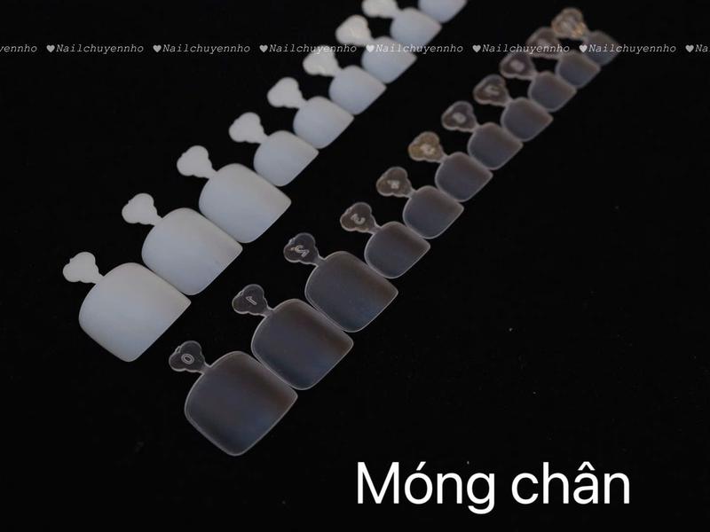 Móng Úp Chân Form Ngắn Đủ Size Dành Cho Thợ Nail - Làm Nail