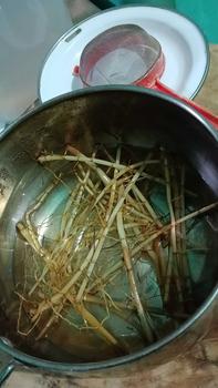 Product Review of Akar Alang Alang Segar Isi Per 500 Gram from Y**i P**a 1