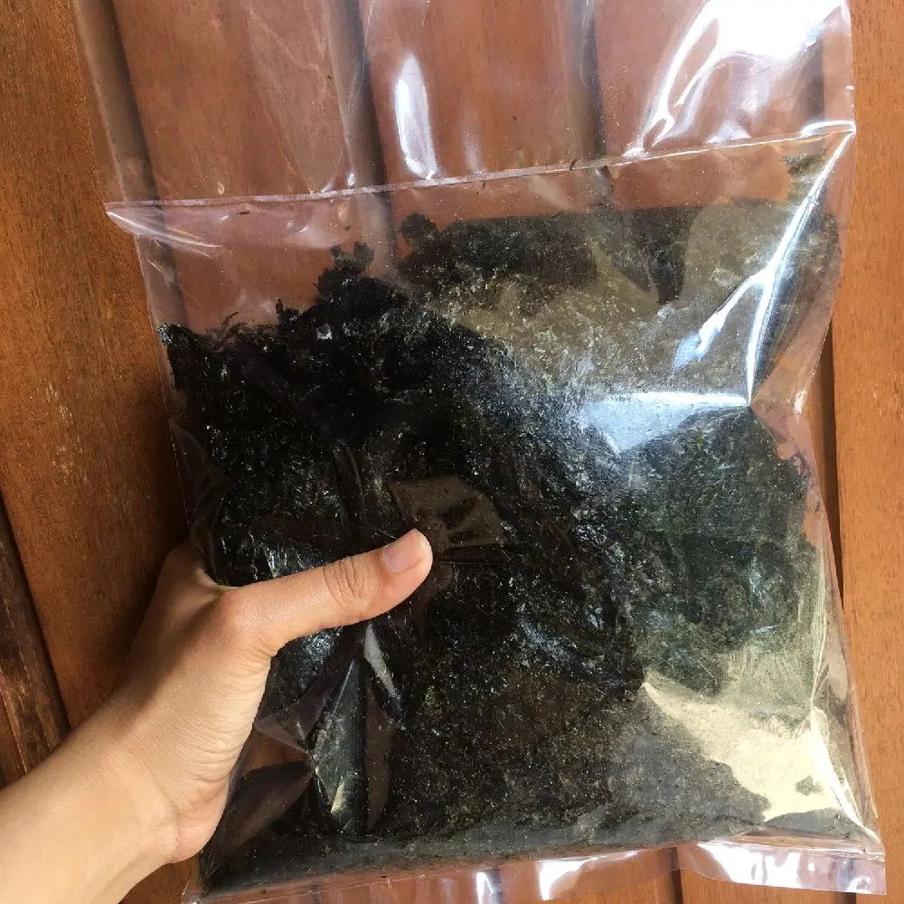 Snack nori cooking master kemasan 100 gram