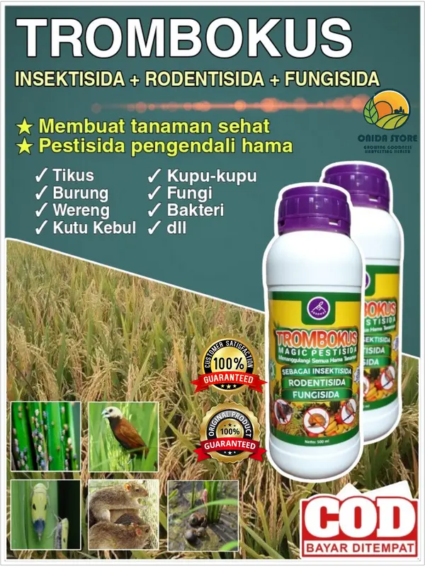 TROMBOKUS MAGIC PESTISIDA+ZPT SEBAGAI INSEKTISIDA, RODENTISIDA, FUNGISIDA ORGANIK PENGENDALI SEGALA HAMA BURUNG DAN TIKUS UNTUK SEMUA TANAMAN 2