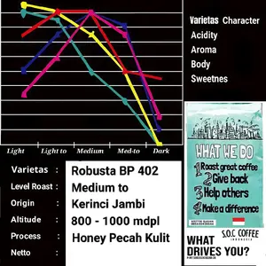 Robusta Kerinci 250g Proses Honey