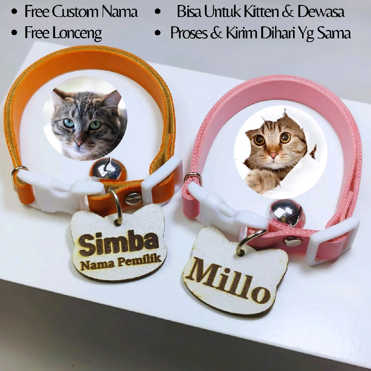 kalung kucing free custom nama bahan kulit