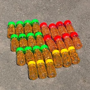 Osmocote pupuk yang sangat baik untuk anggrek, menyediakan nutrisi konsisten selama 6 bulan