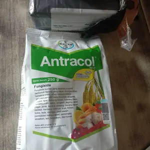 Fungisida Antracol 70wp 250 gram